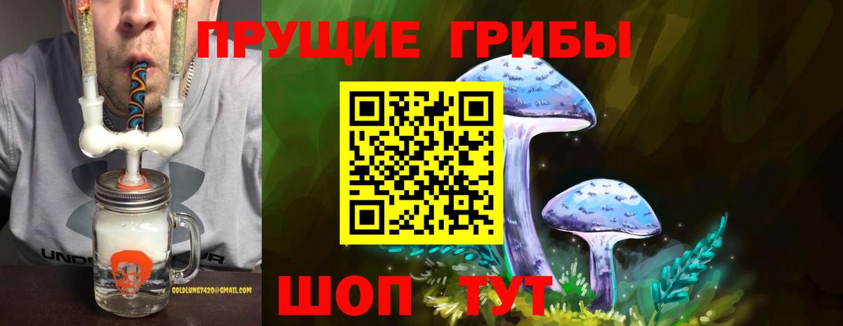 купить закладку  Псилоцибиновые грибы Psilocybine cubensis  Вход с VPN  Заинск 